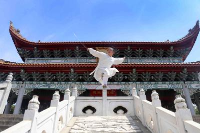 文章附图